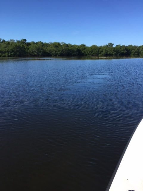 Waterfront canal home inspection Punta Gorda